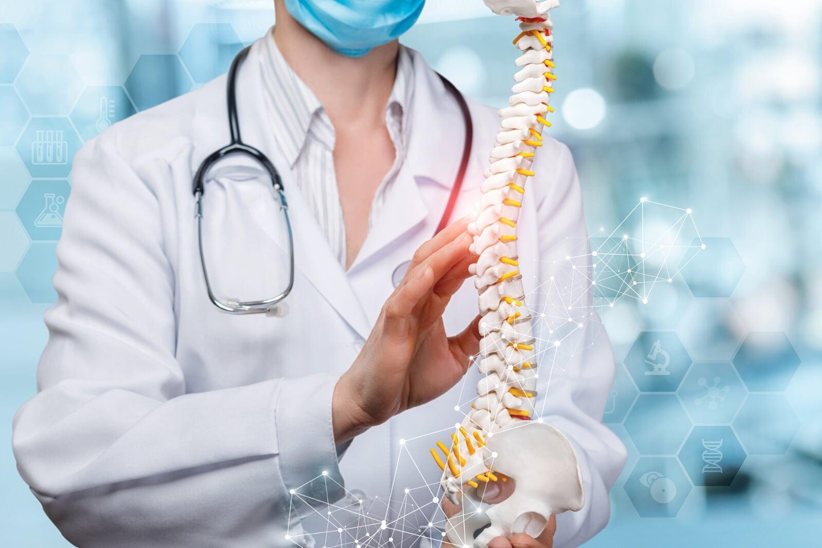 Understanding the Musculoskeletal System: How Chiropractic Care Can Help